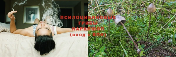 спиды Балабаново